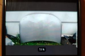 HAVAL Jolion 2021- Капот