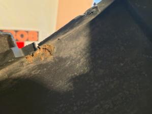 Renault Arkana  19-23 Кузов наружные съемные элементы Навесное на бампер Юбка переднего бампера 