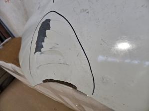 Renault Symbol II 08- Крыло переднее LH