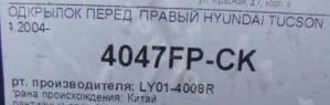 Hyundai Tucson 2004-2010 Локер Пер. RH