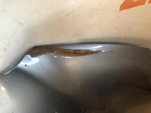 Mitsubishi ASX 2010 Капот